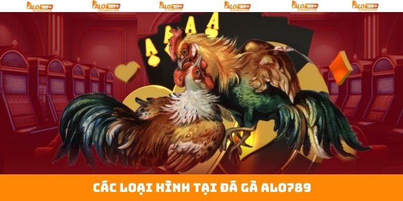 Tổng hợp những hình thức đá gà Alo789 quen thuộc