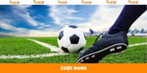 Cược Rung - Cá Độ Bóng Đá Thú Vị Hơn Bao Giờ Hết Tại Alo789