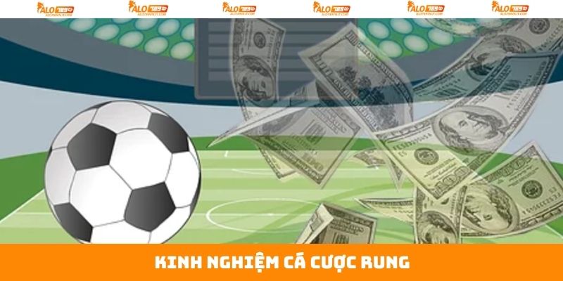 Cược Rung - Cá Độ Bóng Đá Thú Vị Hơn Bao Giờ Hết Tại Alo789 4 Bỏ túi những bí quyết sử dụng cược rung hiệu quả