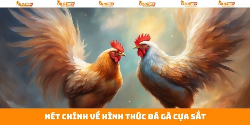 Đá Gà Cựa Sắt - Chiêm Ngưỡng Trận Chiến Kịch Liệt Tại Alo789 2 Nét chính về sức hút của đá gà cựa sắt