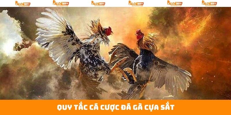 Đá Gà Cựa Sắt - Chiêm Ngưỡng Trận Chiến Kịch Liệt Tại Alo789 3 Quy tắc phân định thắng thua của đá gà cựa sắt