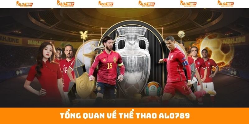 Tóm gọn vài điều về sân chơi cá độ top 1 hiện nay