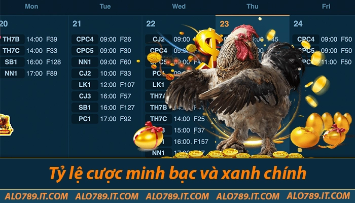 Tỷ lệ cược minh bạch và "xanh chín"